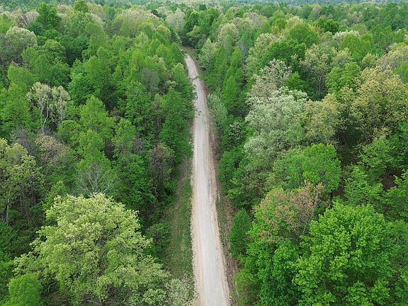 3rd image of 1271A Tunnel Ridge Rd
