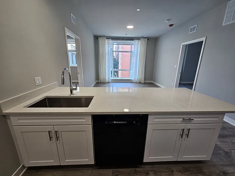 2807 S Halsted St #310 — Photo 12
