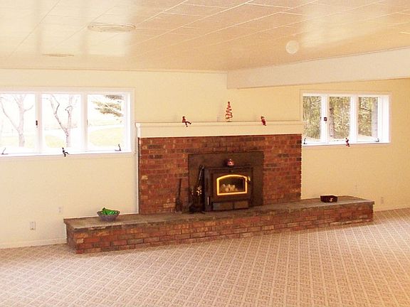 lower level, walkout with fireplace and wood stove.