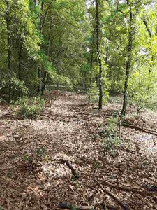 Vacant Ne Hillside Ter, Lee, FL, 32059