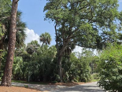 387 Tarpon Boulevard, Fripp Island, SC, 29920