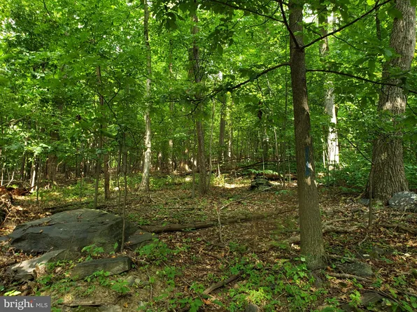 Townsend Rd, Rohrersville, MD 21779