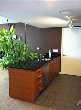 50 BISCAYNE BL, #1904 3