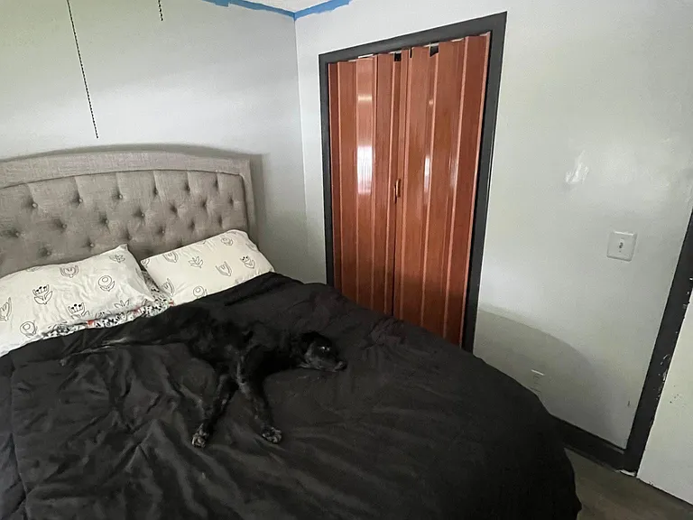 Izlar Dr — Photo 25