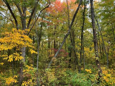 118th Ave, Fennville, MI, 49408