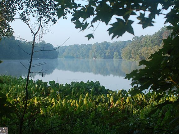 3rd image of 429 Frank Kelley Rd