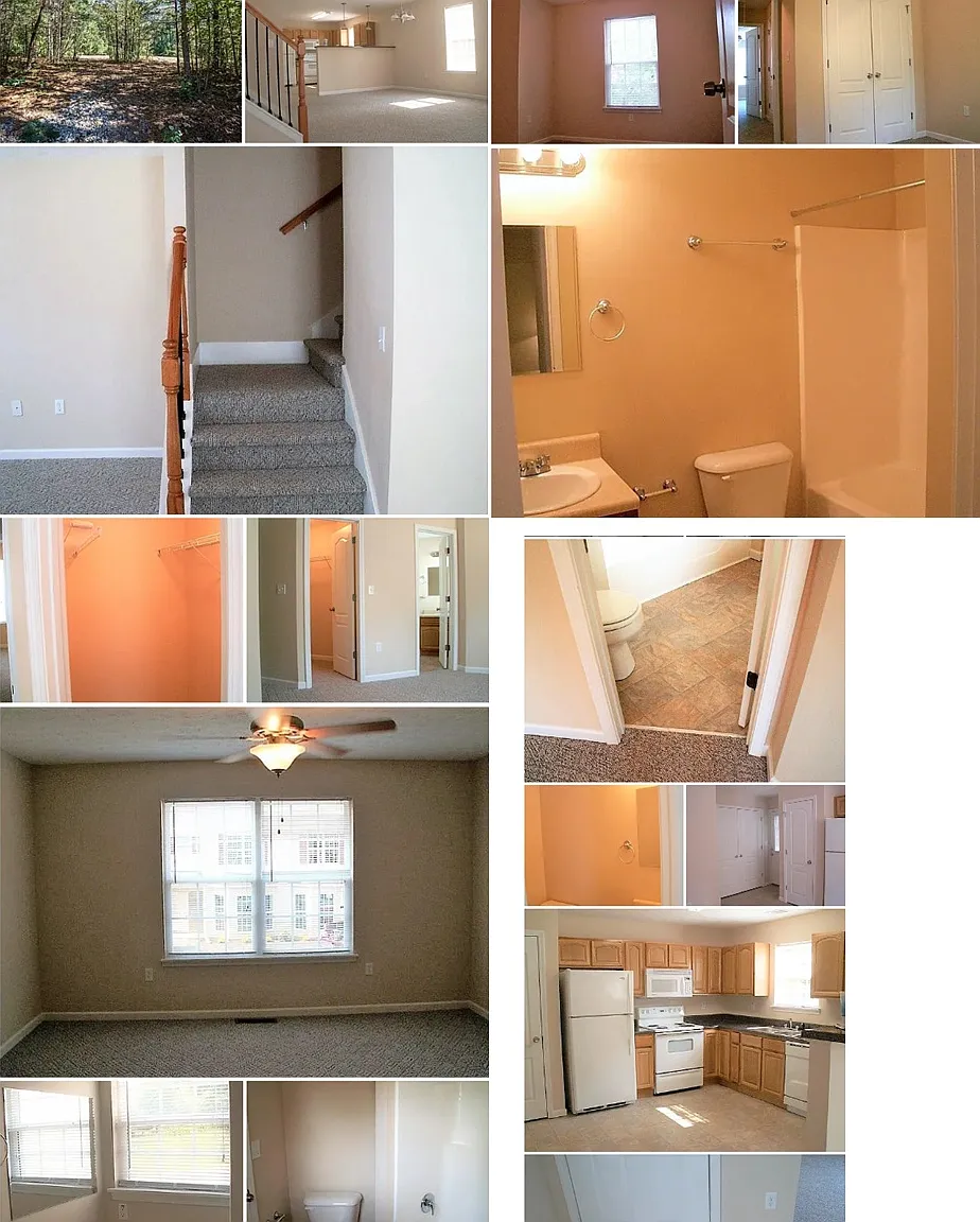 228A Rome St, Bowdon — Photo 3
