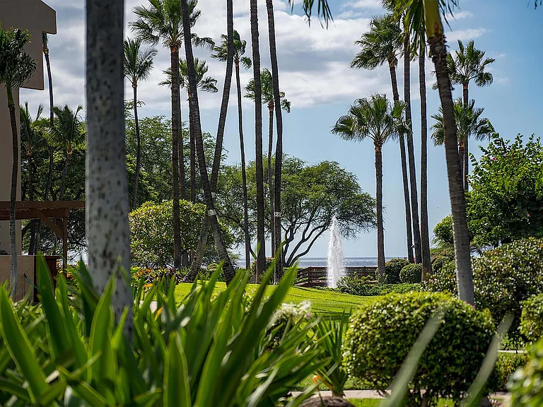 S Kihei Rd — Photo 40
