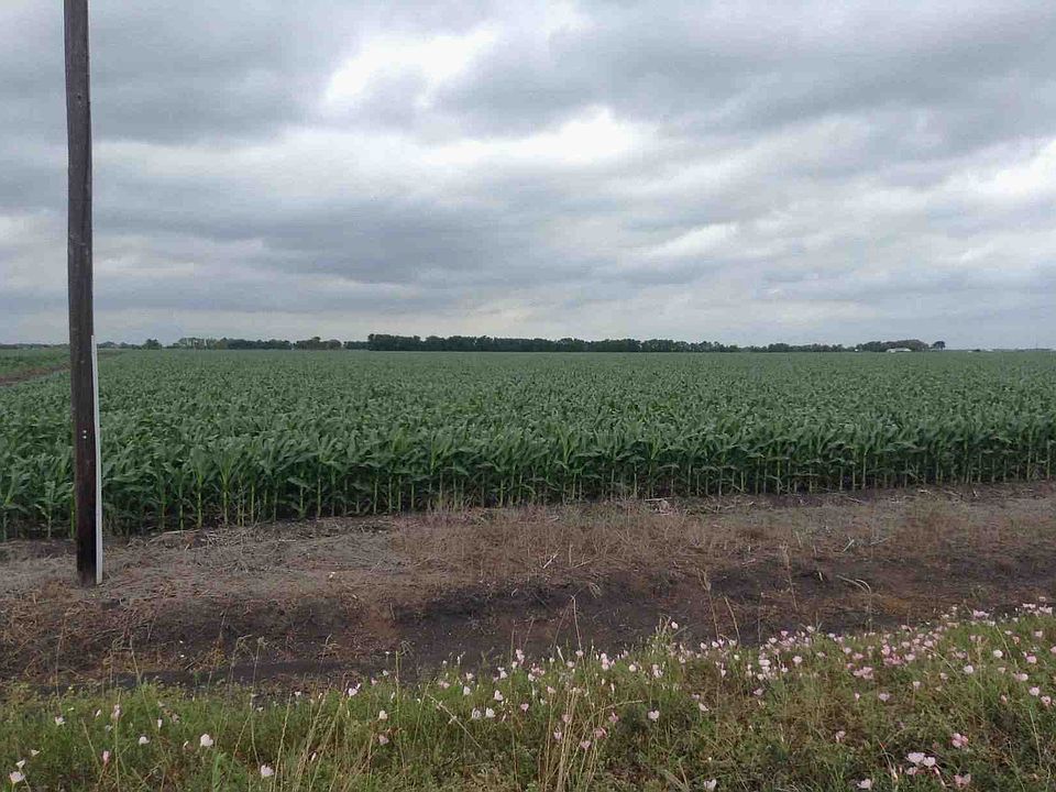 View from County Rd 217.