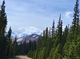 441 Gold Trl, Fairplay, CO 80440