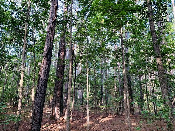 Betaw Road Parcels-Interior