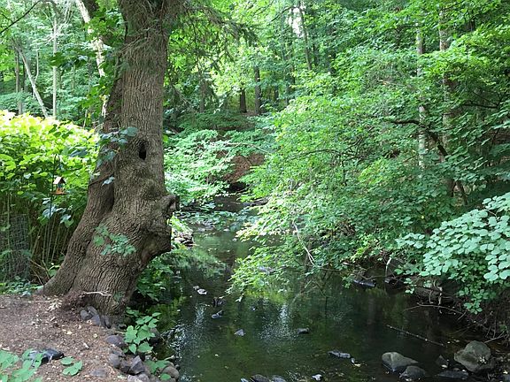 Gentle flowing creek in rear of building