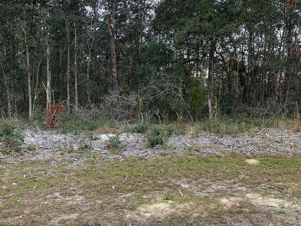 2nd image of 103 Long Branch Trl