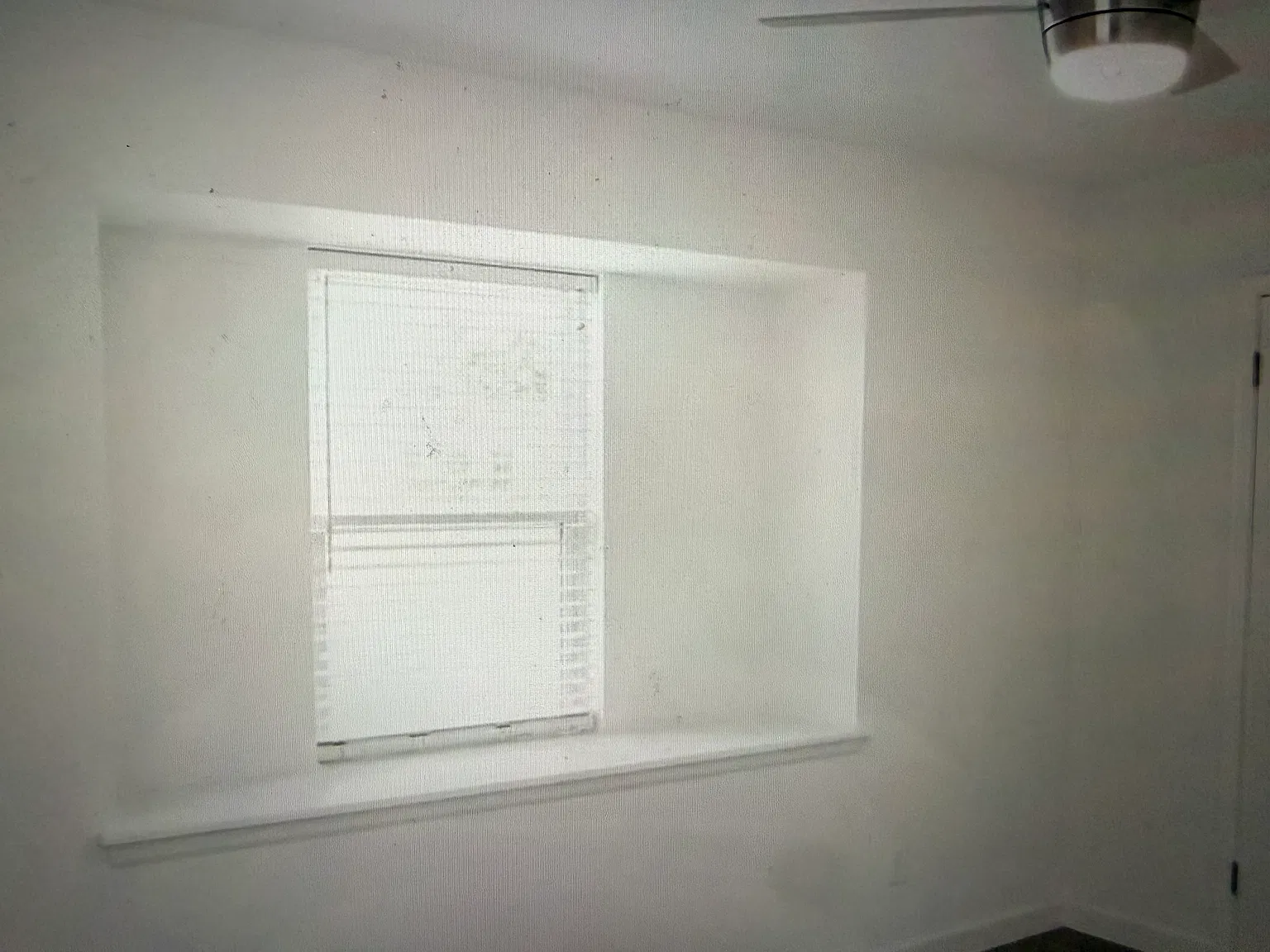 3 bed, 1629 sqft, $1,550 — Photo 4