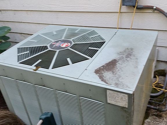 4th image of 10921 51st Ave SE