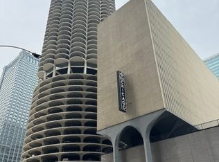 300 N State St APT 4828, Chicago, IL 60654