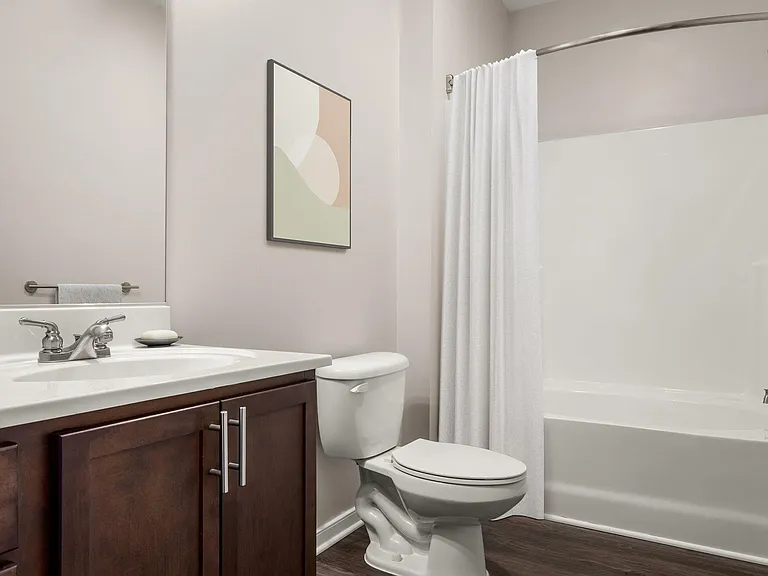 Colony at Centerpointe - Bathroom