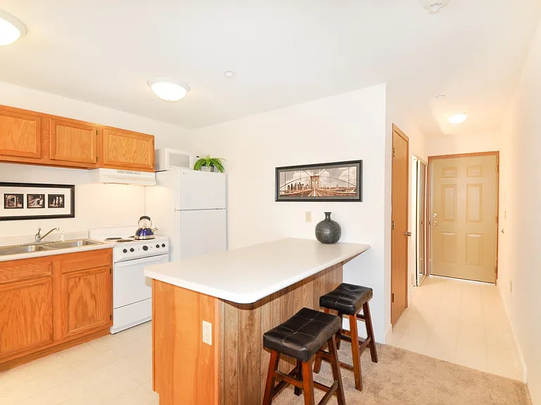 1005 W Stoughton St #312 — Photo 2