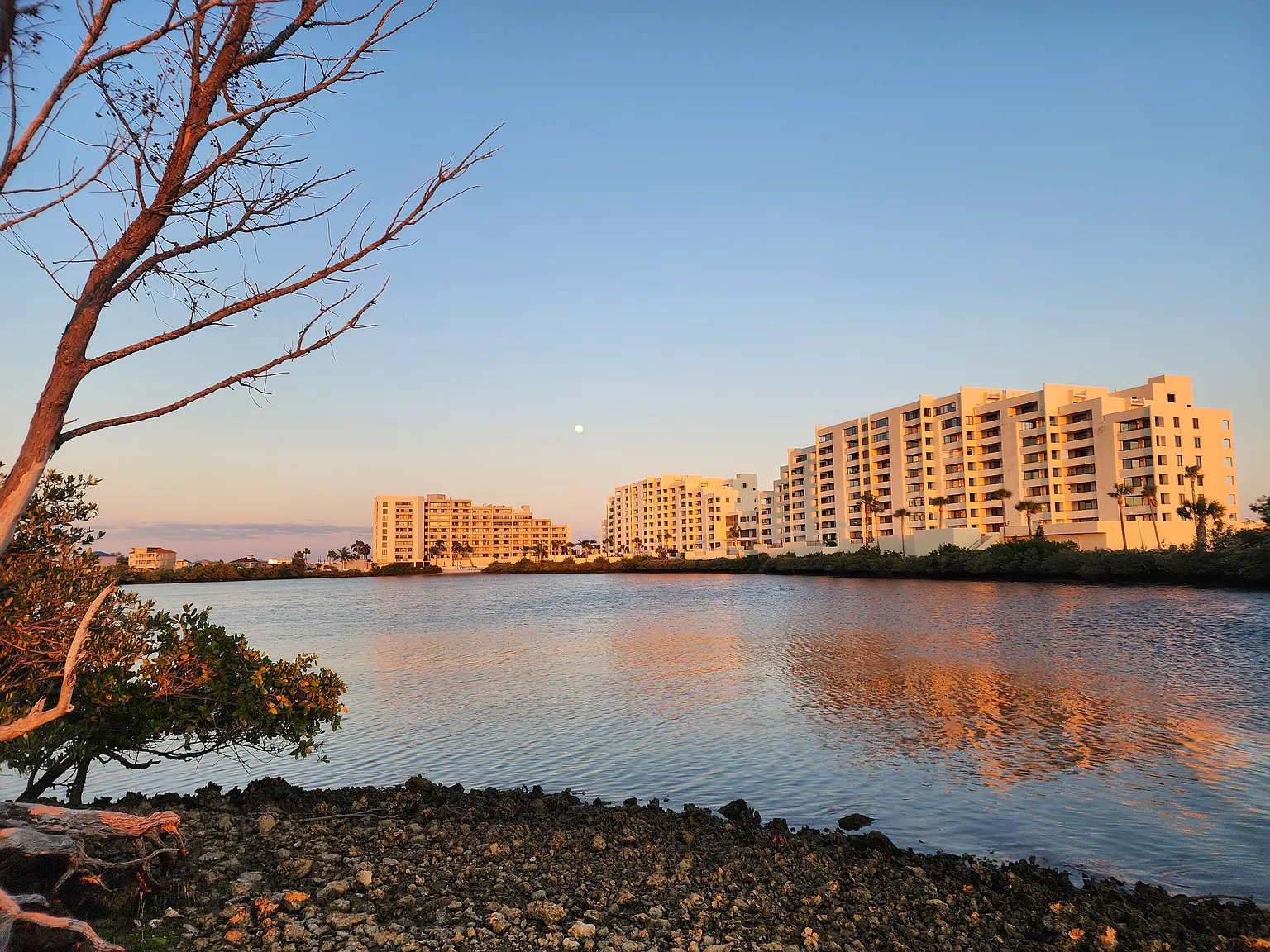 1 bed, 750 sqft, $1,850 — Photo 1