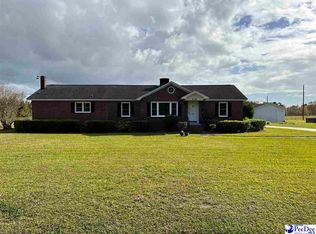 408 E Trinity Rd, Johnsonville, SC 29555