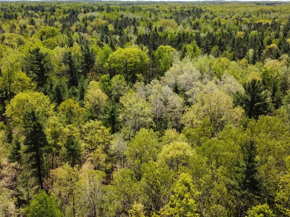 Red Apple Rd, Manistee, MI 49660