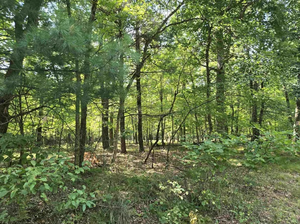 LOT 6 Aspen, Hancock, WI 53934