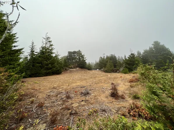 88022 Windleaf Way, Florence, OR 97439