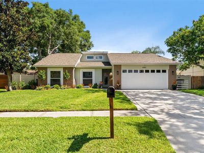 4707 Cresson Ct, Tampa, FL, 33624