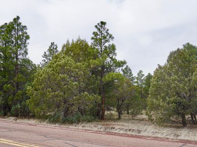 5029 Deer Valley, Lakeside, AZ, 85929