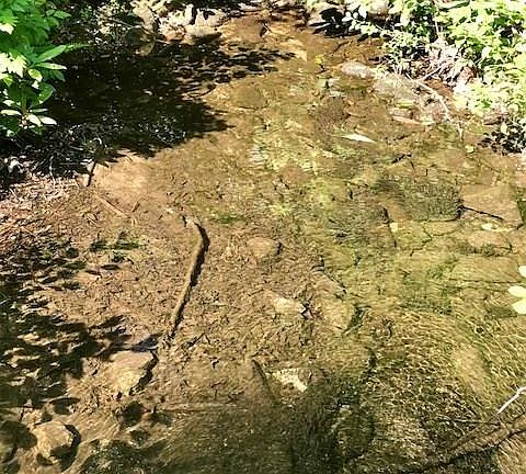 4th image of 2655 White Creek Trl