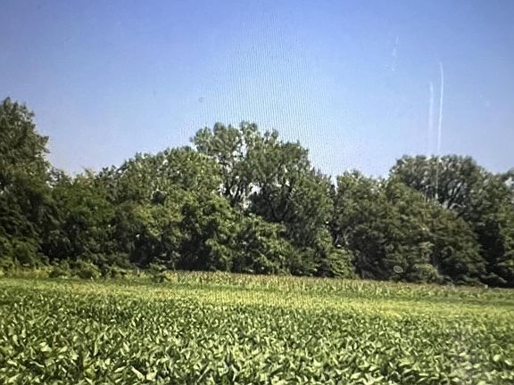 2nd image of N Us Highway 41 #867