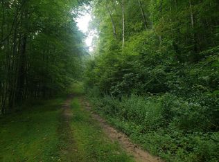 50 Seeley Cove Rd, Clyde, NC 28721