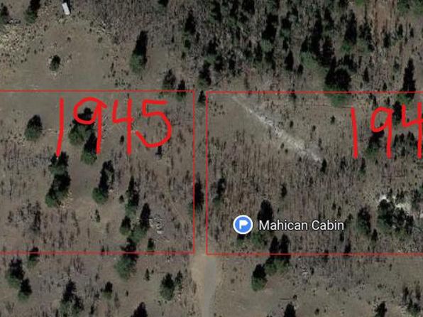 1946 Mahican Rd, Hartsel, CO 80449