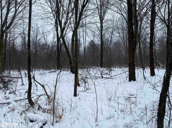 0 Swaffer Rd, Vassar, MI 48768