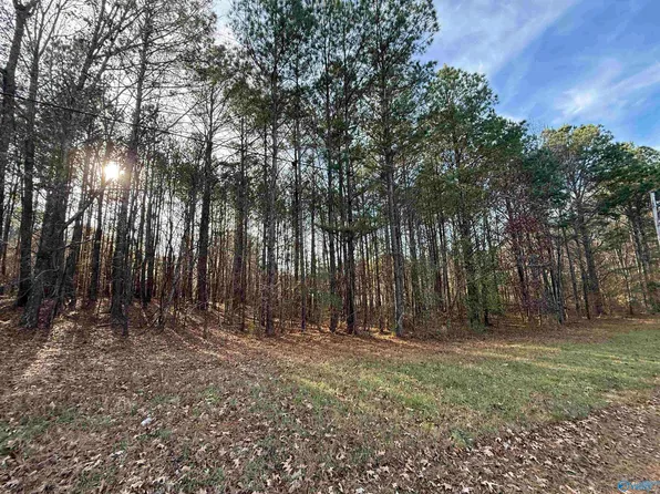 LOT 20 Sweetwater Ln, Rainbow City, AL 35906