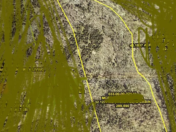 991 Wolfe Rd, Falmouth, KY 41040