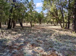 2756 Apollo Cir #141, Overgaard, AZ 85933