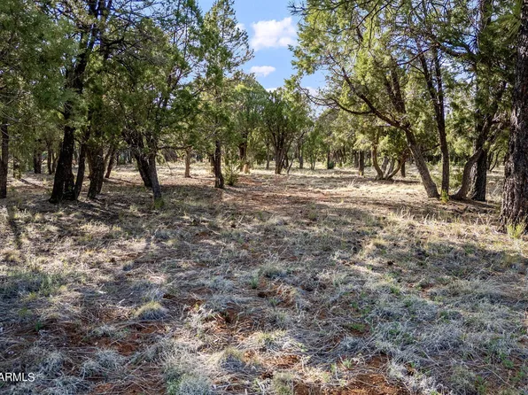 2756 APOLLO Circle #141, Overgaard, AZ 85933