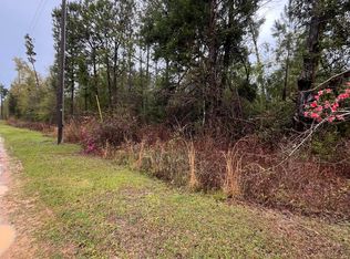 1 Old Spanish Trl, Sneads, FL 32460