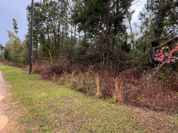 1 Old Spanish Trl, Sneads, FL 32460