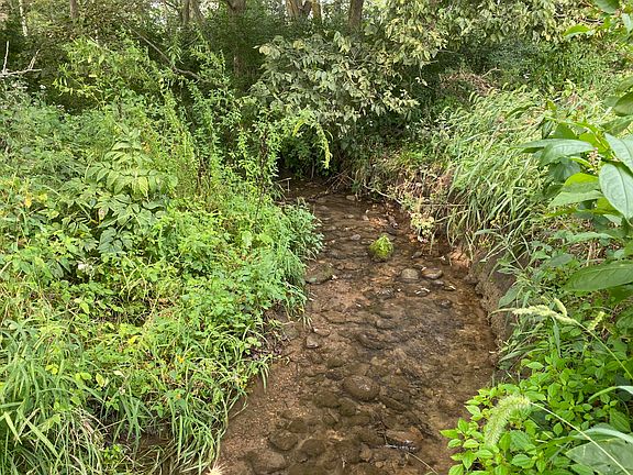 5th image of 0 County Road 5
