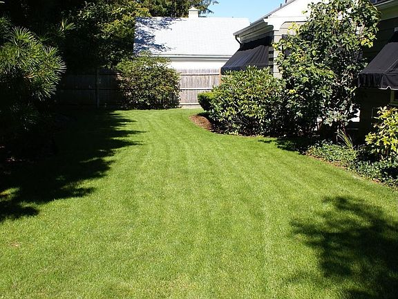 Manicured Backyard