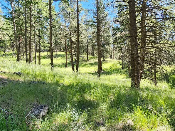 351 Hogue Dr, Bigfork, MT 59911