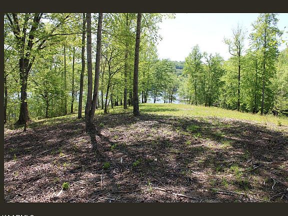 3rd image of LOT 30 Emory Cove Dr