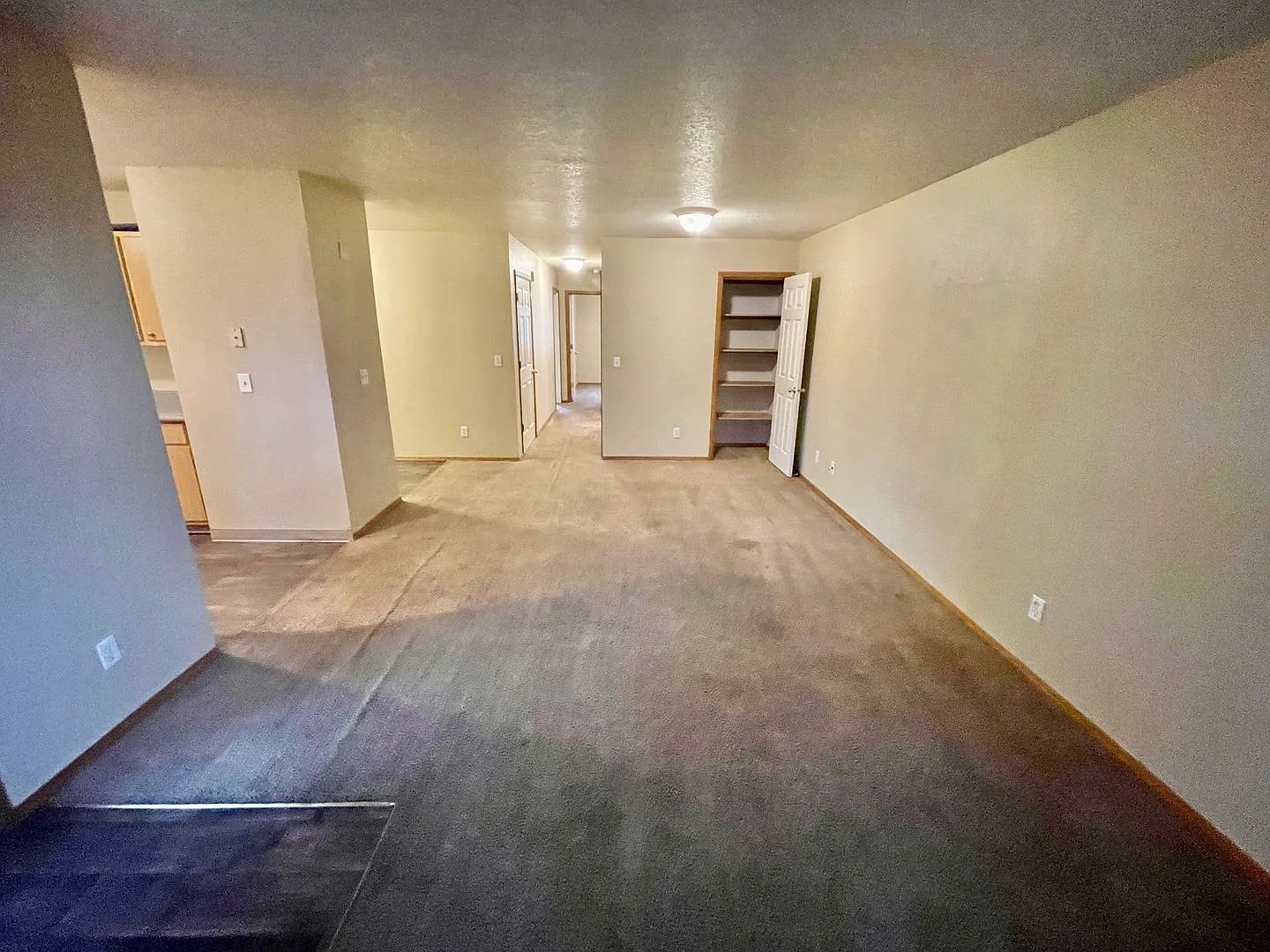 JC0497 — Photo 3