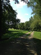 4th image of 10053 Carol Ln
