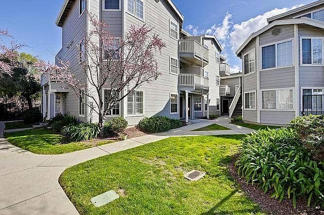 15 units, mostly tech professionals