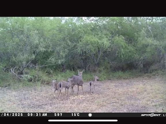 3rd image of 28109 53rd St