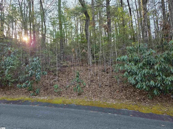 56 Cliff Ridge Dr, Cleveland, SC 29635