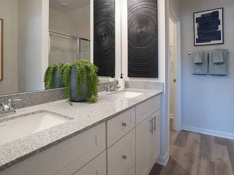 Tuscon Primary bathhroom with double vanity and walk-in shower and closet.